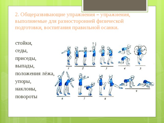 Общеразвивающие упражнения по физкультуре с картинками