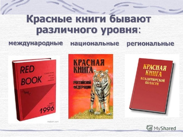 Красная книга карелии презентация