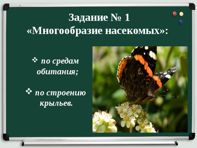  Задание № 1 «Многообразие насекомых»:  по средам обитания;   по строению  крыльев. 