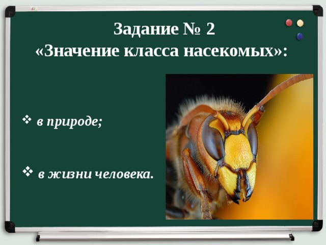  Задание № 2 «Значение класса насекомых»:  в природе;    в жизни человека. 