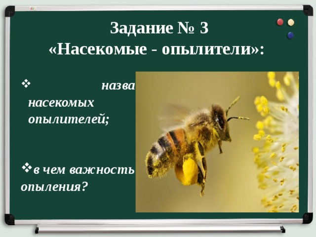  Задание № 3 «Насекомые - опылители»:  назвать насекомых опылителей;   в чем важность опыления? 