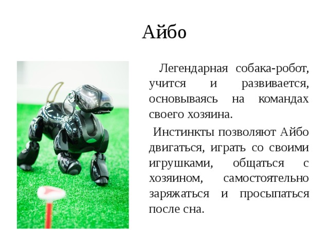 Айбо  Легендарная собака-робот, учится и развивается, основываясь на командах своего хозяина.  Инстинкты позволяют Айбо двигаться, играть со своими игрушками, общаться с хозяином, самостоятельно заряжаться и просыпаться после сна. 