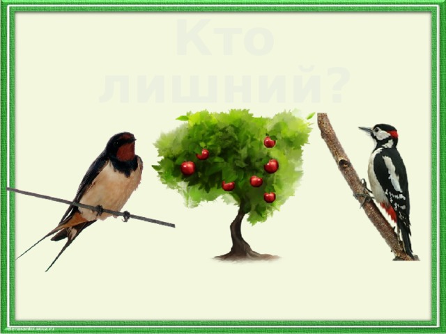 Кто лишний? 
