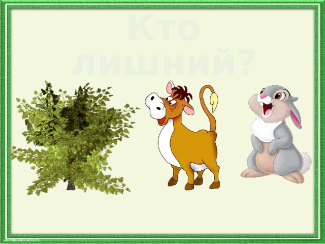 Кто лишний? 