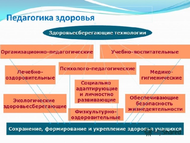 Схему задачи организации здоровьесберегающей деятельности в доу