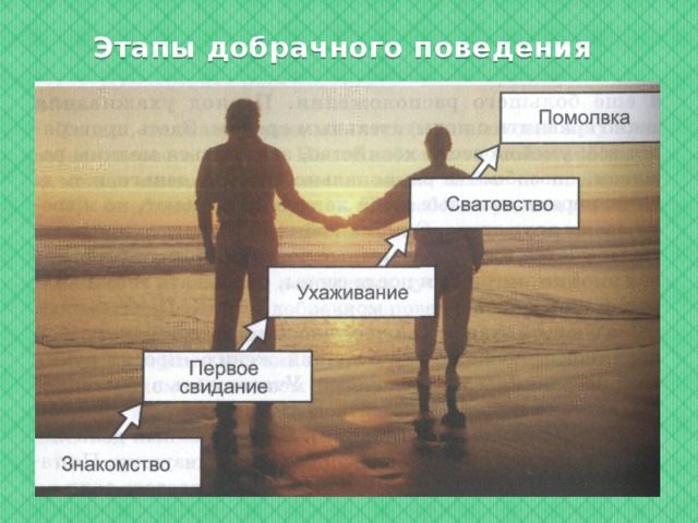 Этапы добрачного поведения 