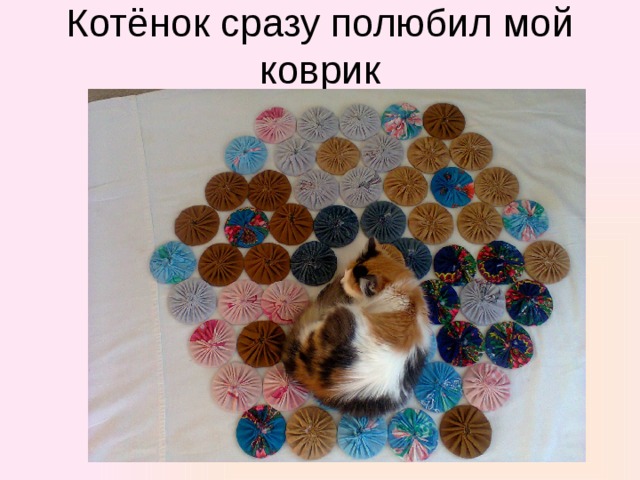 Котёнок сразу полюбил мой коврик 