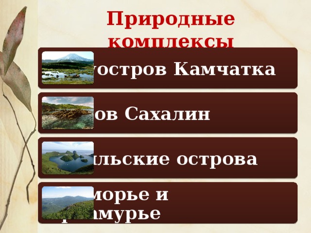 Природные комплексы Полуостров Камчатка Остров Сахалин Курильские острова Приморье и Приамурье 