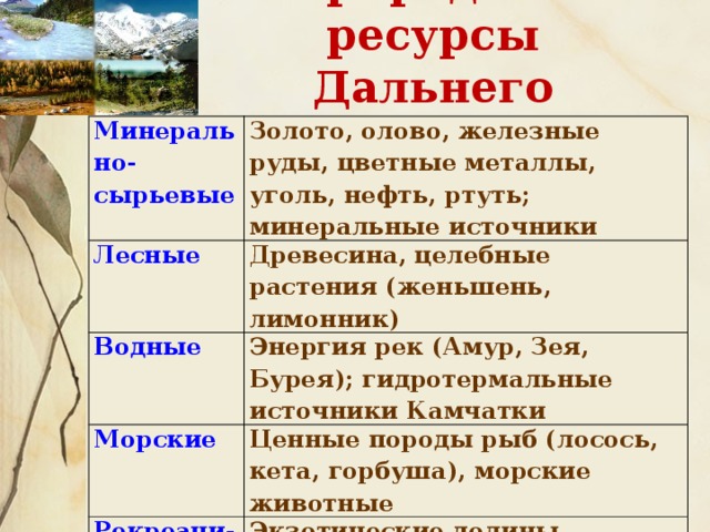 Природные ресурсы Дальнего Востока Минерально-сырьевые Золото, олово, железные руды, цветные металлы, уголь, нефть, ртуть; минеральные источники Лесные Древесина, целебные растения (женьшень, лимонник) Водные Энергия рек (Амур, Зея, Бурея); гидротермальные источники Камчатки Морские Ценные породы рыб (лосось, кета, горбуша), морские животные Рекреаци-онные Экзотические долины Камчатки; уссурийский край; пляжи в районе Находки 