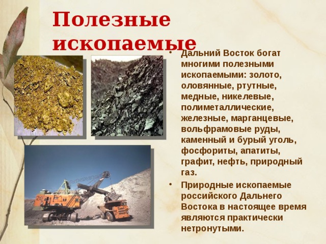 Полезные ископаемые Дальний Восток богат многими полезными ископаемыми: золото, оловянные, ртутные, медные, никелевые, полиметаллические, железные, марганцевые, вольфрамовые руды, каменный и бурый уголь, фосфориты, апатиты, графит, нефть, природный газ. Природные ископаемые российского Дальнего Востока в настоящее время являются практически нетронутыми. 