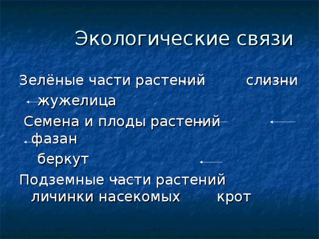 Цепь питания черноморского побережья кавказа