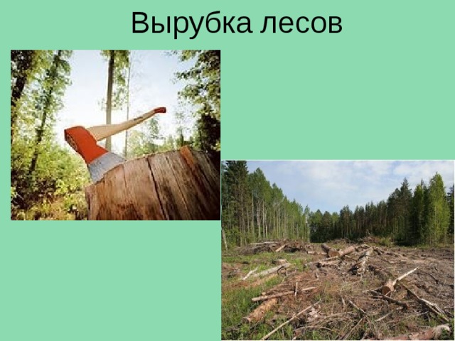 Вырубленный лес картинка для детей