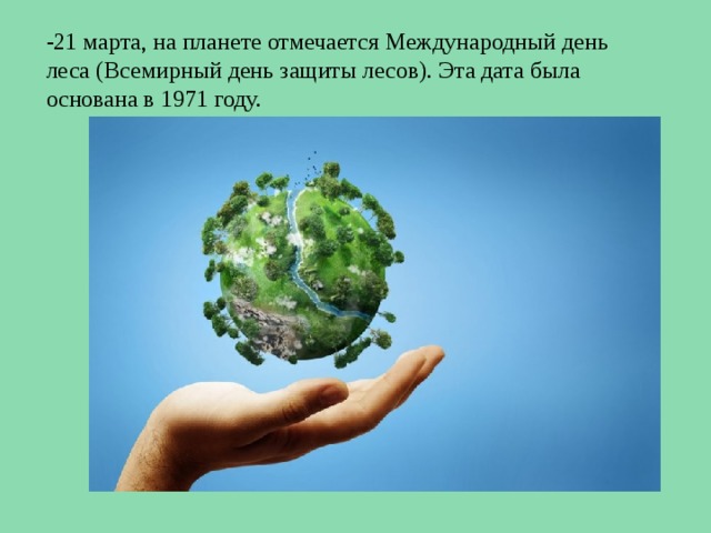 -21 марта, на планете отмечается Международный день леса (Всемирный день защиты лесов). Эта дата была основана в 1971 году. 