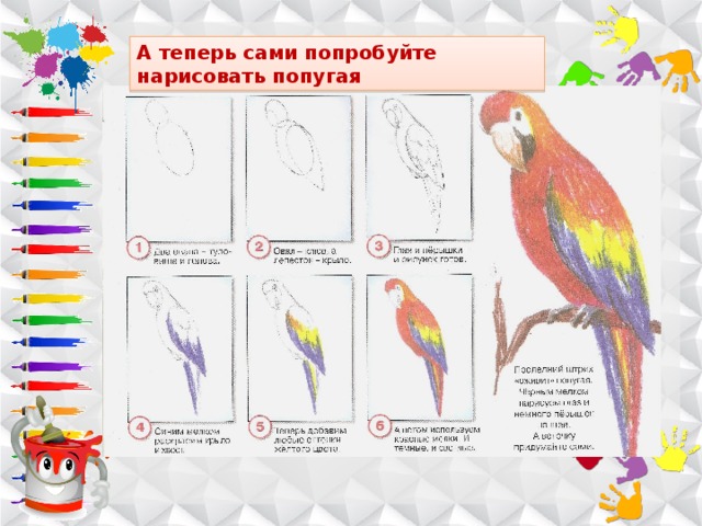 Поэтапное рисование попугая 2 класс презентация