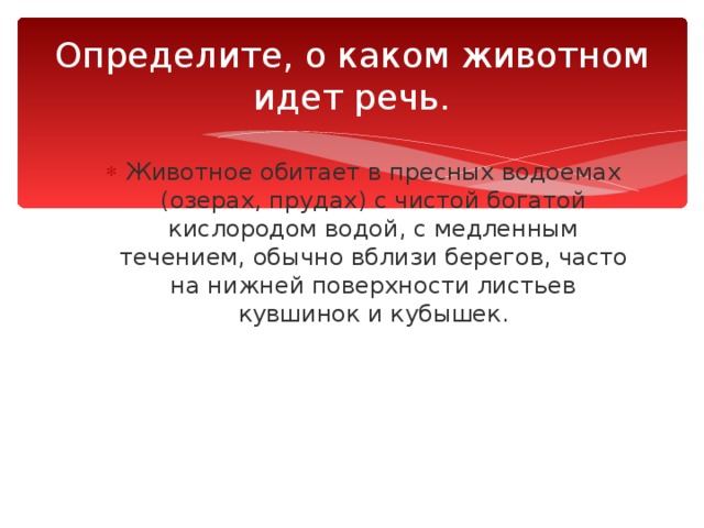 Определите, о каком животном идет речь. Животное обитает в пресных водоемах (озерах, прудах) с чистой богатой кислородом водой, с медленным течением, обычно вблизи берегов, часто на нижней поверхности листьев кувшинок и кубышек. 