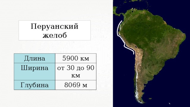 Перуанский желоб Длина 5900 км Ширина от 30 до 90 км Глубина 8069 м 