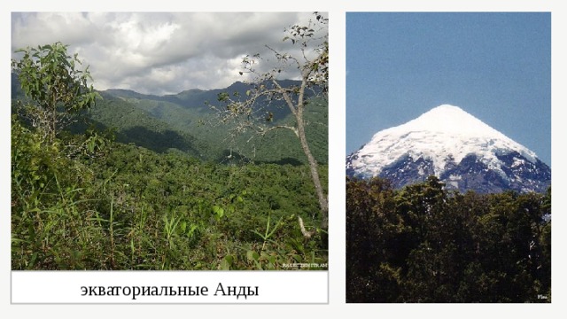 Разнообразие природы южной америки 7 класс. Экваториальные Анды. Природа Южной Америки 7 класс. Природа Южной Америки 7 класс география.