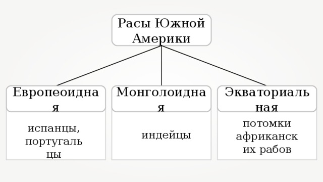 Расы Южной Америки Монголоидная Экваториальная Европеоидная потомки африканских рабов испанцы, португальцы индейцы 