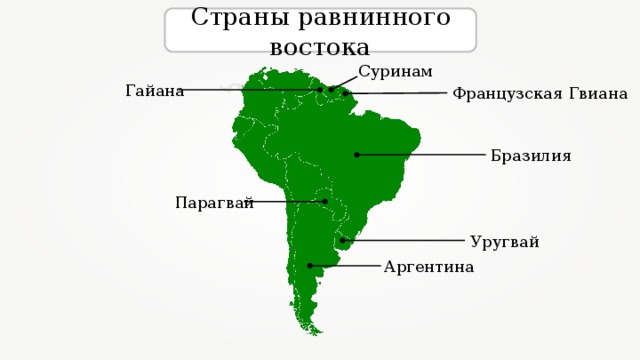 Страны равнинного востока Суринам Гайана Французская Гвиана Бразилия Парагвай Уругвай Аргентина 