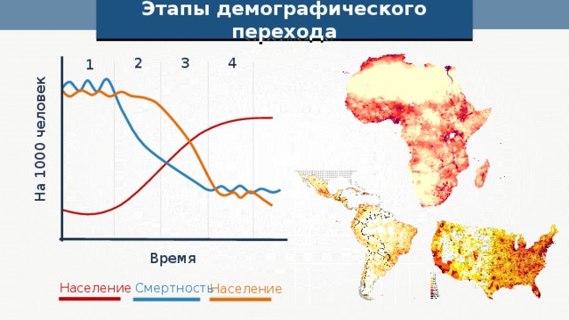 Второй демографический переход. Карта этапов демографического перехода. Период «демографического Эха войны».. Этапы демографического перехода на 1000 человек. АМФРИКА фаза демографического перехода.