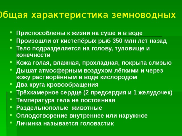 Форма тела земноводных характеристика. Земноводные общая характеристика. Класс земноводные общая характеристика. Общая характеристика амфибий. Класс земноводные или амфибии общая характеристика.