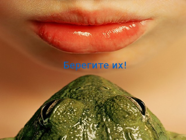 Берегите их! 