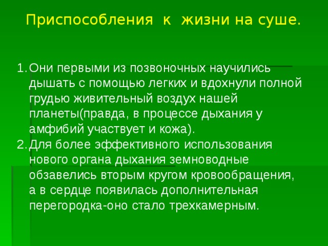 Приспособления к жизни на суше. Они первыми из позвоночных научились дышать с помощью легких и вдохнули полной грудью живительный воздух нашей планеты(правда, в процессе дыхания у амфибий участвует и кожа). Для более эффективного использования нового органа дыхания земноводные обзавелись вторым кругом кровообращения, а в сердце появилась дополнительная перегородка-оно стало трехкамерным. 