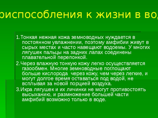 Приспособления к жизни в воде. 1.Тонкая нежная кожа земноводных нуждается в постоянном увлажнении, поэтому амфибии живут в сырых местах и часто навещают водоемы. У многих лягушек пальцы на задних лапах соединены плавательной перепонкой. 2.Через влажную тонкую кожу легко осуществляется газообмен. Многие земноводные поглощают больше кислорода через кожу, чем через легкие, и могут долгое время оставаться под водой, не всплывая за новой порцией воздуха. 3.Икра лягушек и их личинки не могут противостоять высыханию, и размножение большей части амфибий возможно только в воде.  