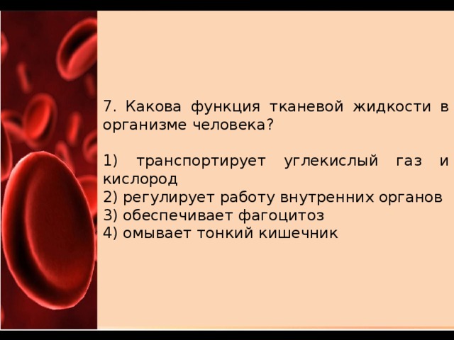 7. Какова функция тканевой жидкости в организме человека?   1) транспортирует углекислый газ и кислород 2) регулирует работу внутренних органов 3) обеспечивает фагоцитоз 4) омывает тонкий кишечник 