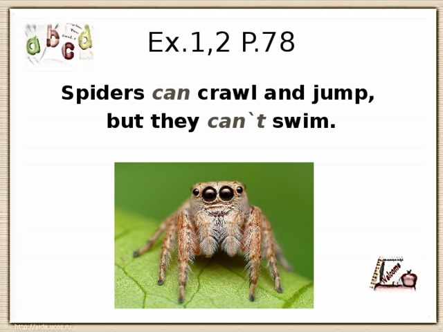 Crawl spider fly bird jump rabbit swim. Spider can Crawl. Spiders can Crawl and Jump but they can't Swim. Составь предложения Jump, Crawl, and, can, Spiders. What can Crawl a Spider can.