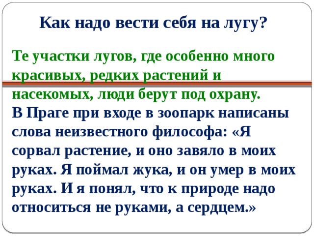 Памятка луг. Как нужно вести себя на лугу. Как вести себя на лугу окружающий мир 4 класс. Памятка как вести себя на лугу. Памятка как надо вести себя на лугу.