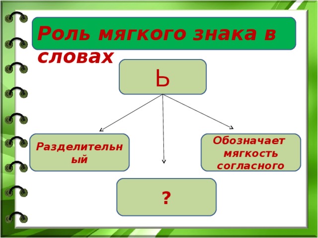 Слово с 2 мягкими знаками. Роль мягкого знака в словах. Грамматическая роль мягкого знака. Кластер на тему мягкий знак. Роль мягкого знака в существительных.