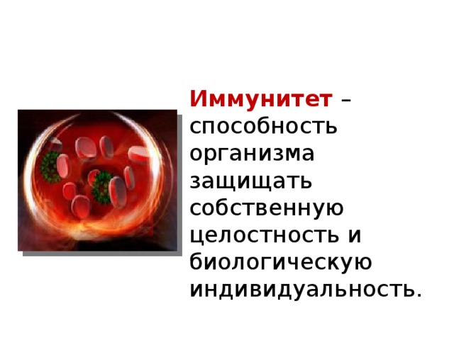 Иммунитет – способность организма защищать собственную целостность и биологическую индивидуальность. 