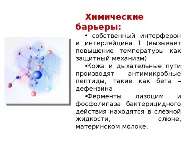 Химические барьеры:  собственный интерферон и интерлейцина 1 (вызывает повышение температуры как защитный механизм) Кожа и дыхательные пути производят антимикробные пептиды, такие как бета – дефензина Ферменты лизоцим и фосфолипаза бактерицидного действия находятся в слезной жидкости, слюне, материнском молоке. 