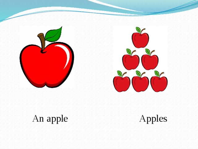  An apple Apples 