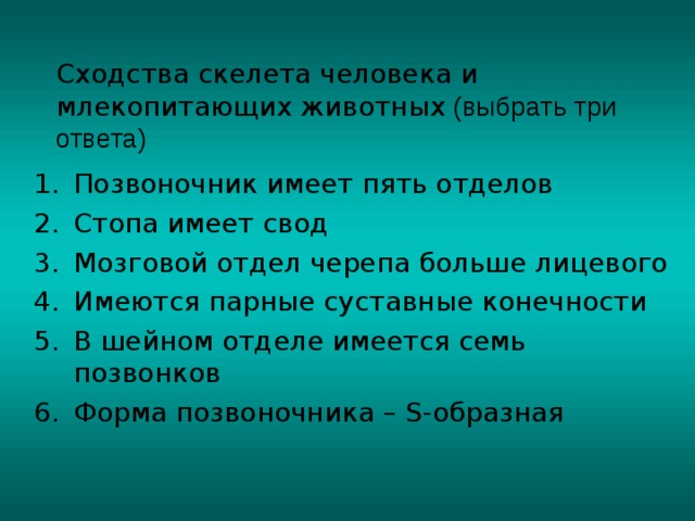 В чем сходство скелета человека и млекопитающих