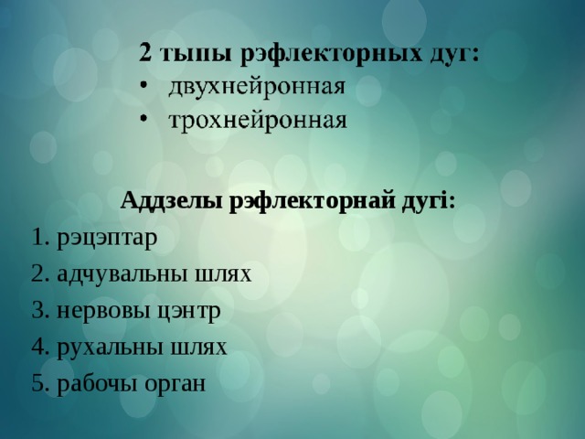 Аддзелы рэфлекторнай дугі: 1. рэцэптар 2. адчувальны шлях 3. нервовы цэнтр 4. рухальны шлях 5. рабочы орган