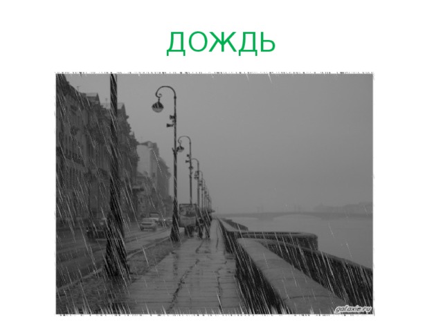 ДОЖДЬ 