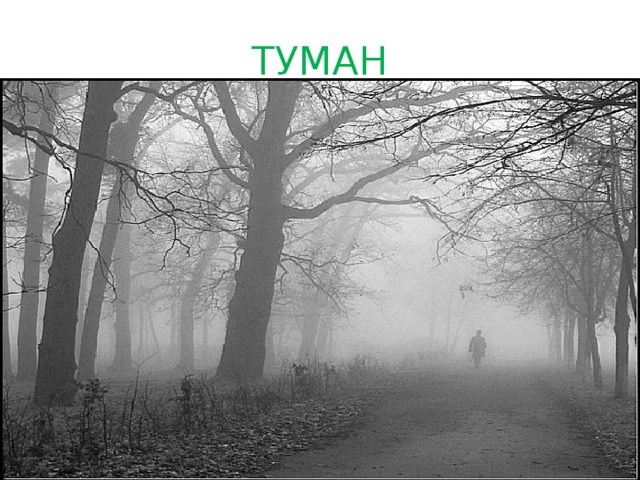 ТУМАН 