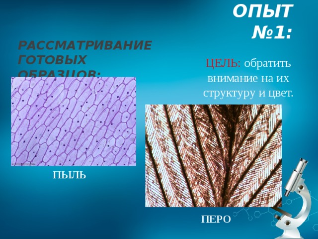 Какие эксперименты под микроскопом