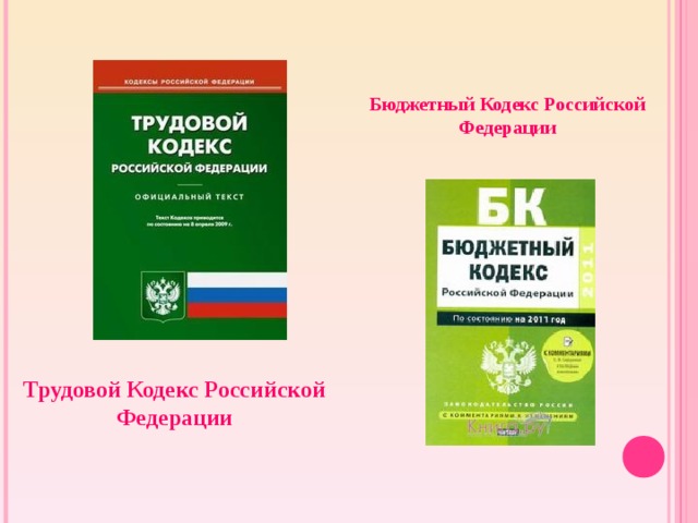 Бюджетный Кодекс Российской Федерации Трудовой Кодекс Российской Федерации