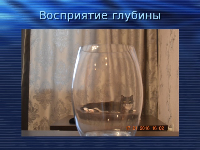 Восприятие глубины 