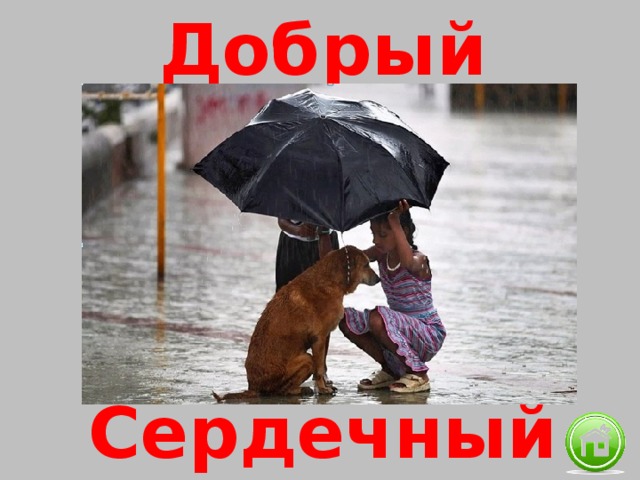 Добрый Сердечный 