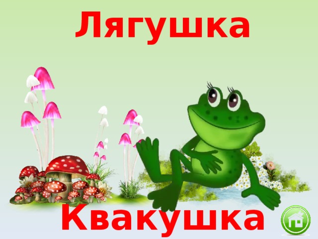 Лягушка квакушка картинка