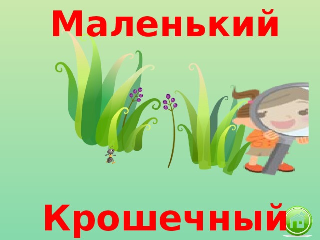 Маленький Крошечный 
