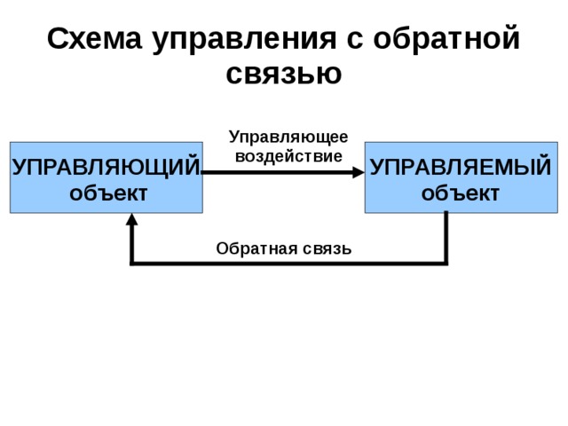 Обратная связь в коллективе осуществляется по схеме