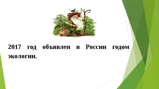 2017 год объявлен в России годом экологии. 