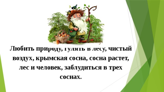 Любить природу, гулять в лесу, чистый воздух, крымская сосна, сосна растет, лес и человек, заблудиться в трех соснах. 