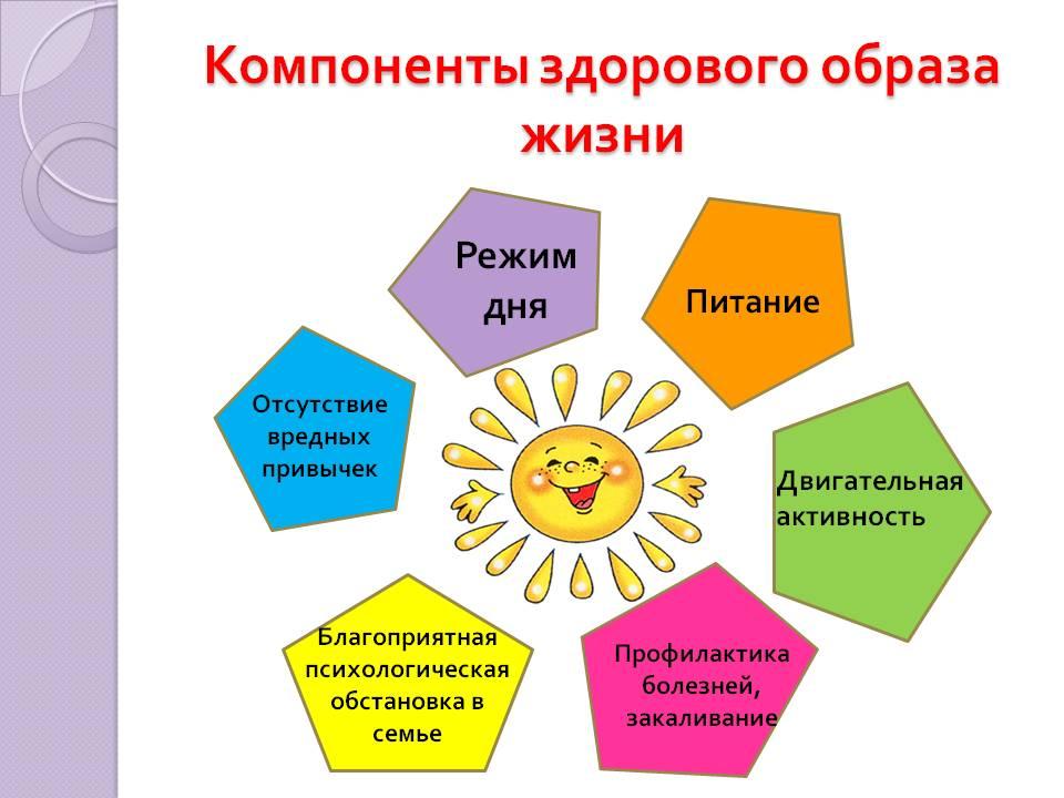 Папка раскладушка здоровый образ жизни семьи