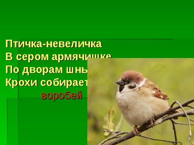 Птичка-невеличка  В сером армячишке  По дворам шныряет,  Крохи собирает.     воробей 